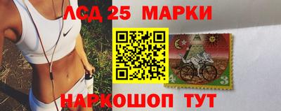 МДПВ Кингисепп