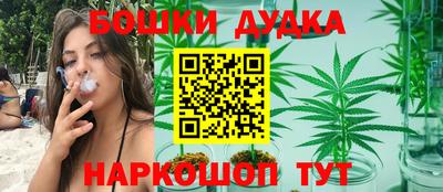 МДПВ Кингисепп