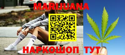 МДПВ Кингисепп