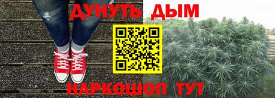 МДПВ Кингисепп