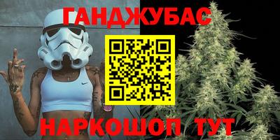 МДПВ Кингисепп