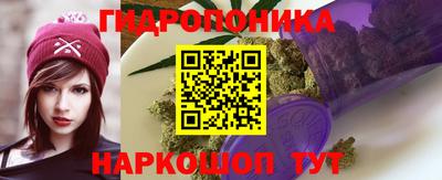 PSILOCYBIN Кимры