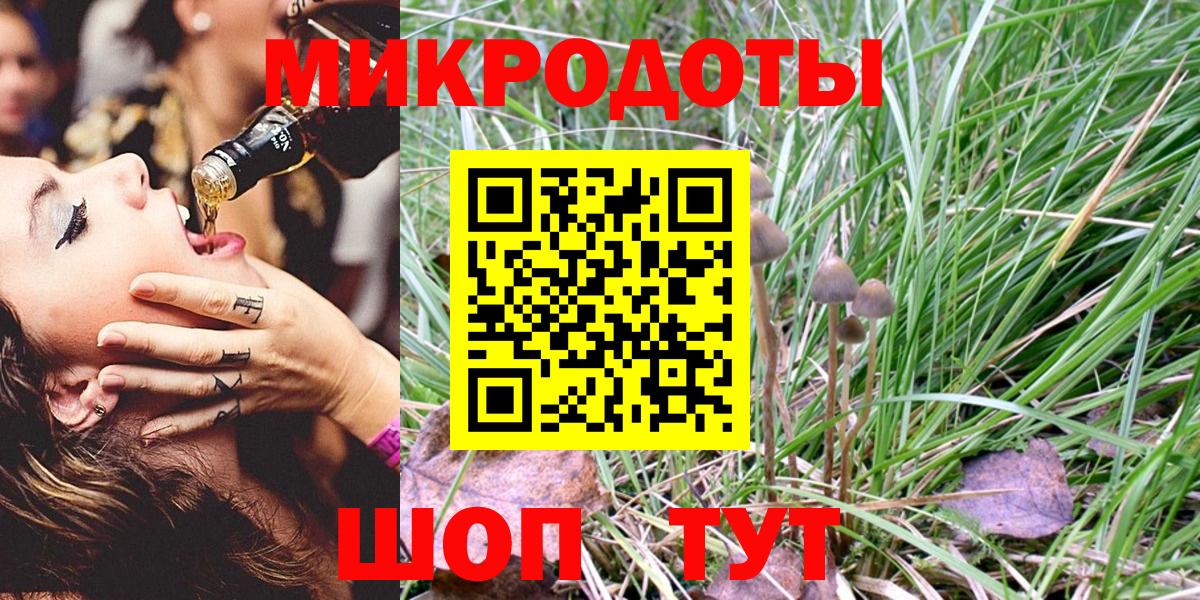 Галлюциногенные грибы GOLDEN TEACHER  Псилоцибиновые грибы мицелий  Биробиджан  Вход с VPN 